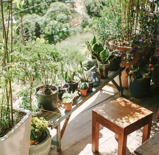 How to Create a Relaxing Garden Space at Home